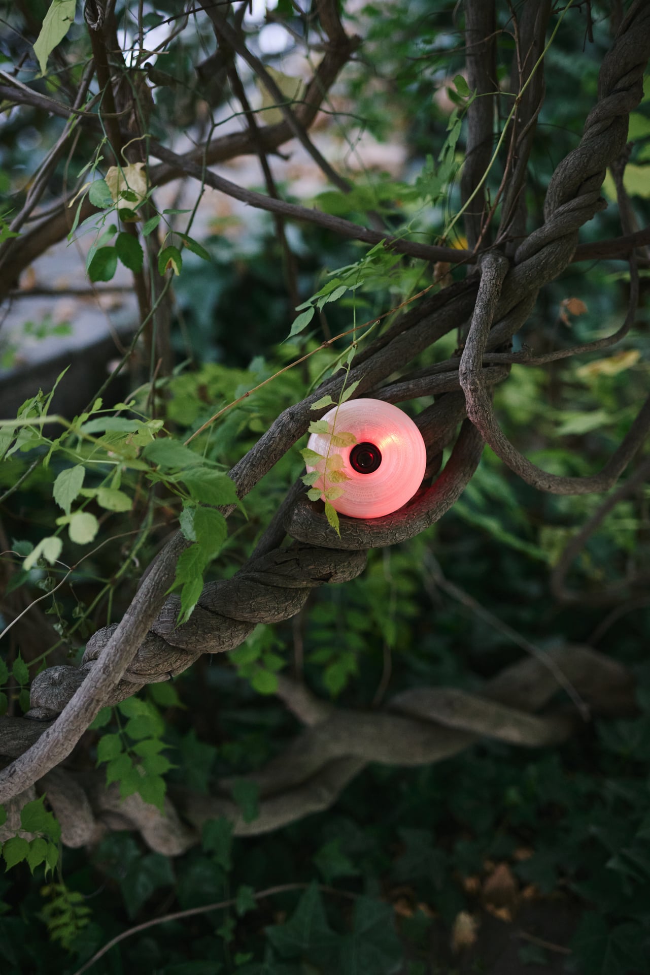 CYFEST 17 | Εκπαιδευτικό πρόγραμμα για μαθητές Δευτεροβάθμιας Εκπαίδευσης