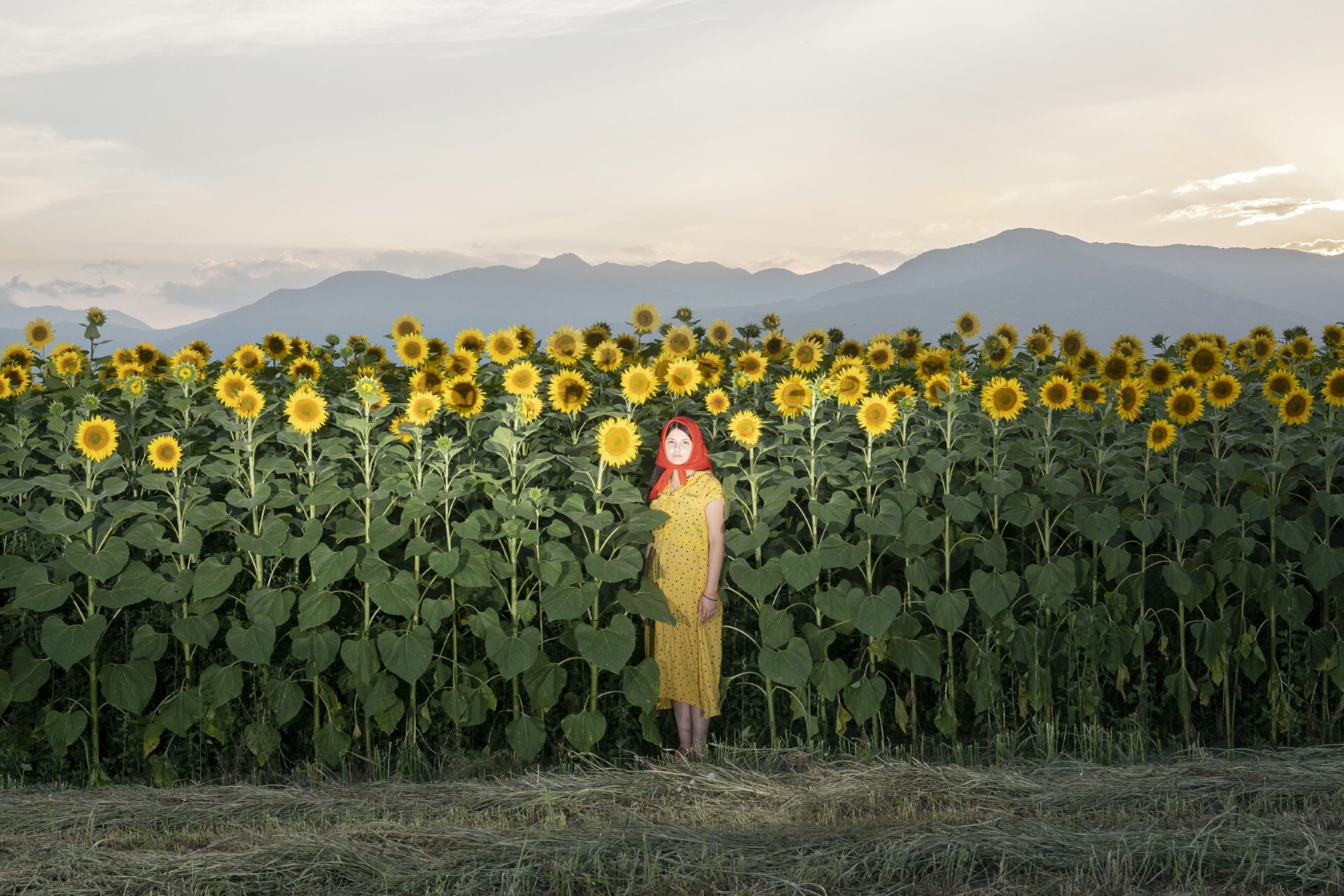 Vicky Georgiou The backyard (2018-2023)